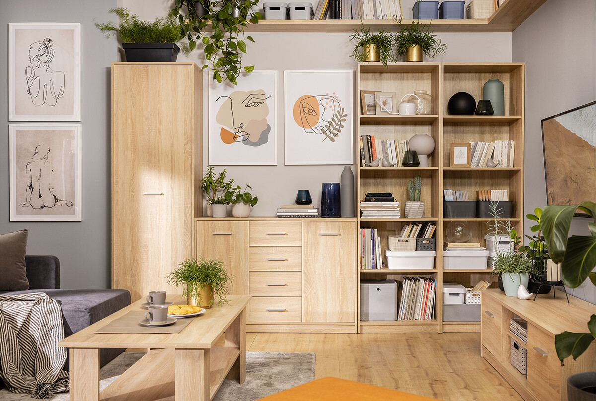 Furniture collection Novsore