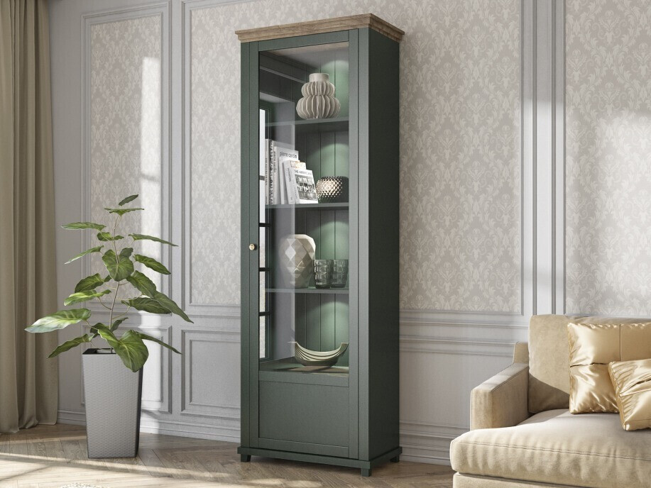 Bookcase Tolnue 101 (Dark green + Lefkas oak)