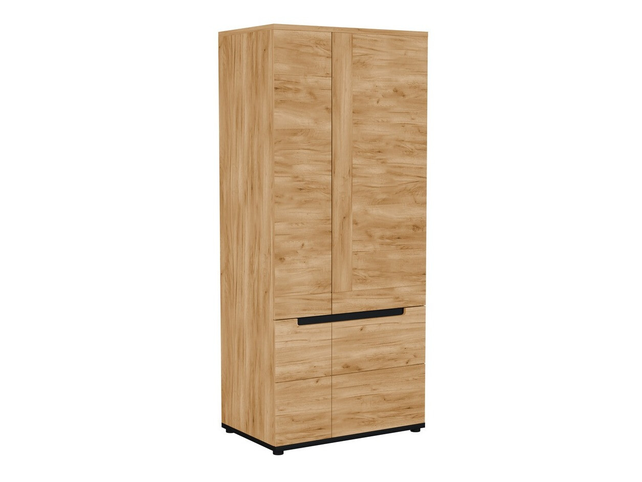 Wardrobe Remlevi 106