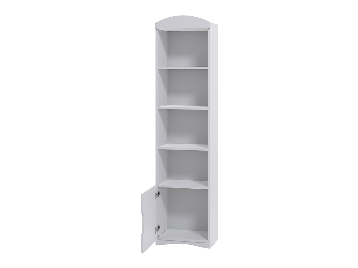 Bookcase Fagus