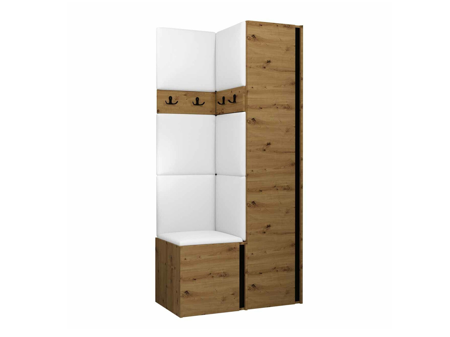 Hallway set Pinis XXIV (Artisan oak + Black)