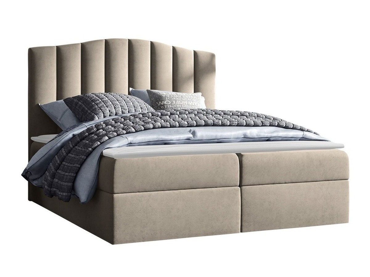 Continental bed Cantus (Casablanca 2303)