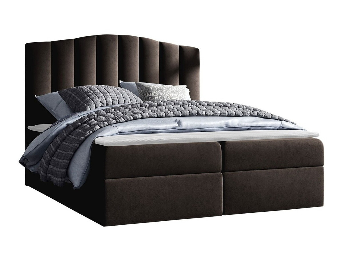 Continental bed Cantus (Casablanca 2308)