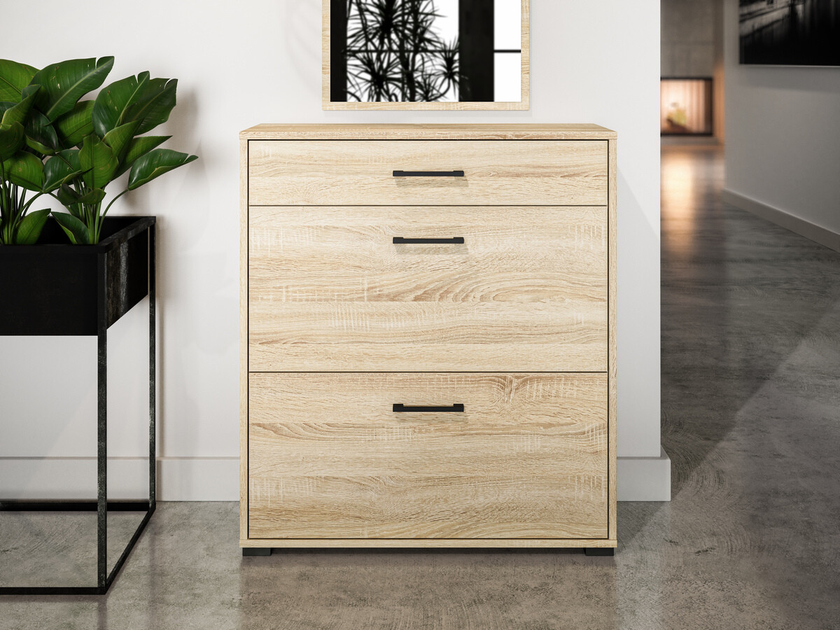 Shoe cabinet Camtesu 109