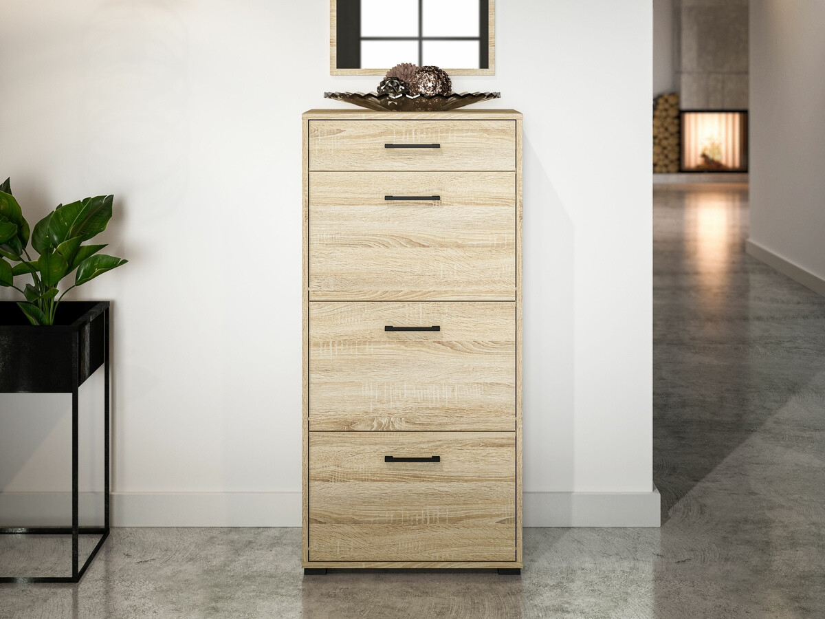 Shoe cabinet Camtesu 113