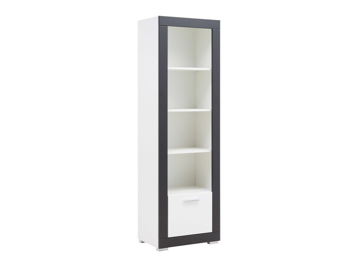 Bookcase Ferciru 105