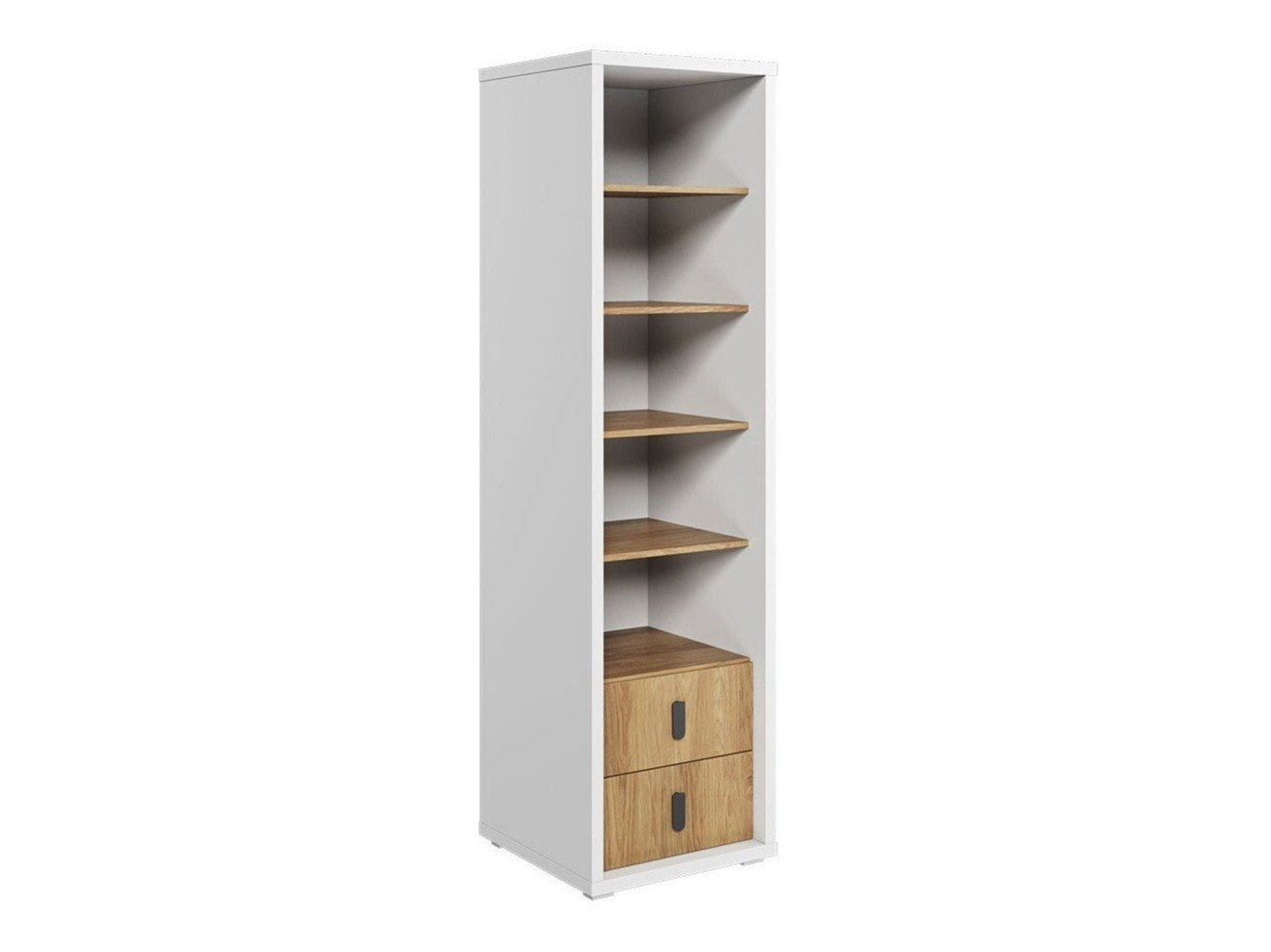 Bookcase Tesonu 106