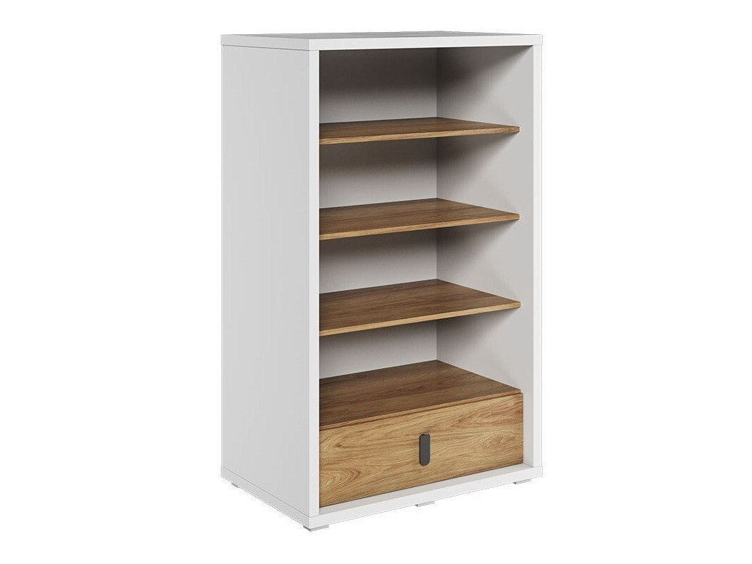 Bookcase Tesonu 107