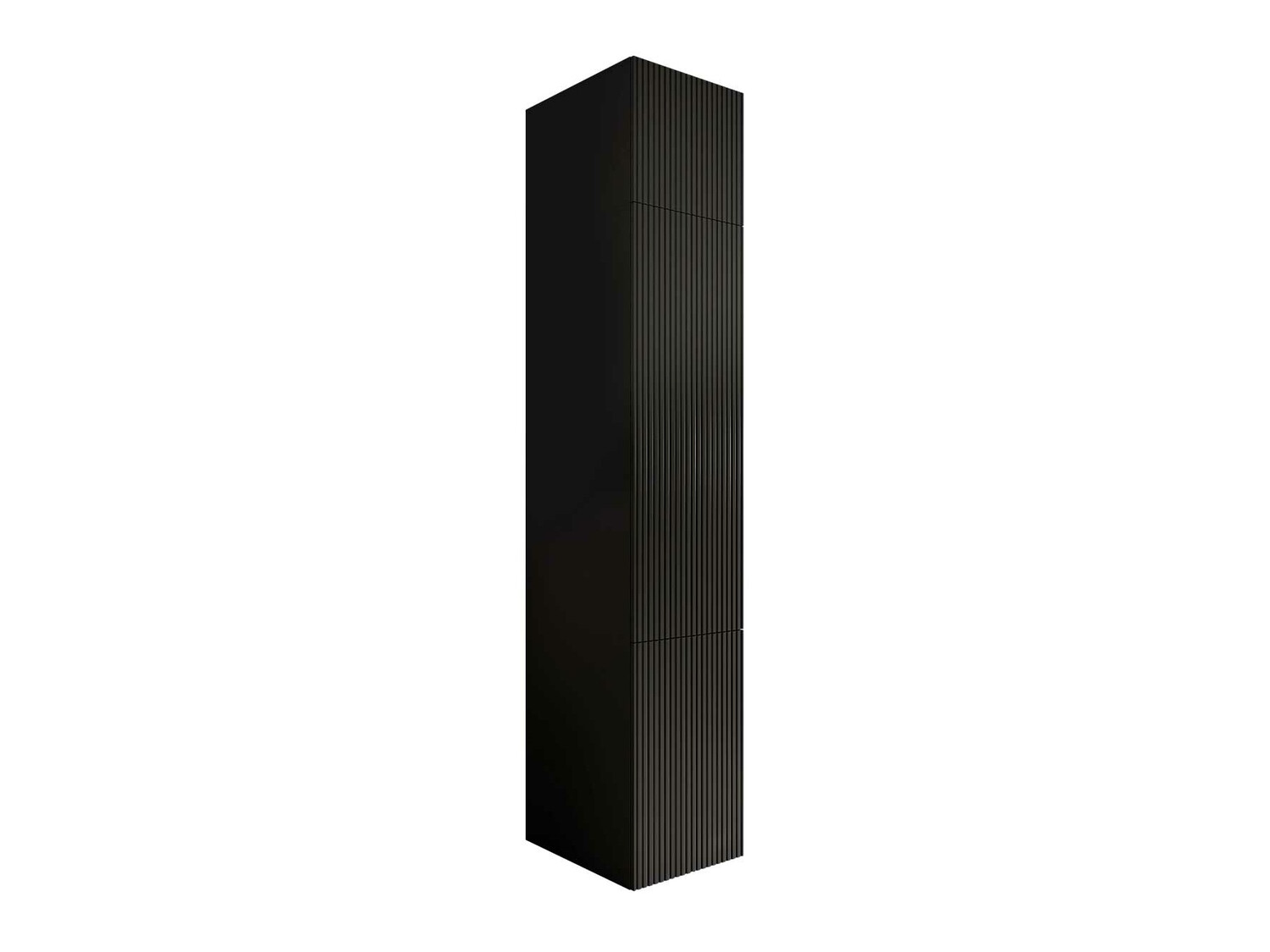 Bookcase Dicto II (Black)