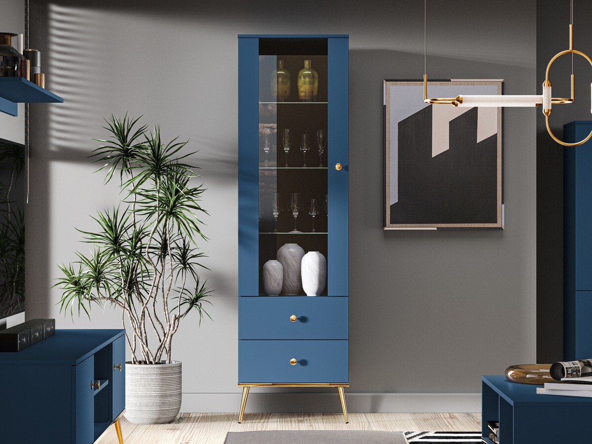 Bookcase Flonovu 100 (Dark blue + Golden)