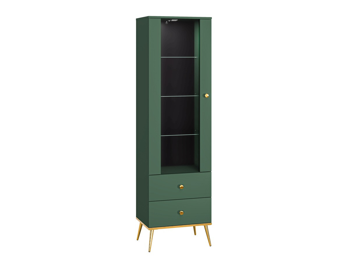 Bookcase Flonovu 100 (Dark green + Golden)