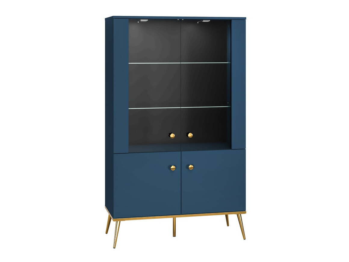 Bookcase Flonovu 101 (Dark blue + Golden)