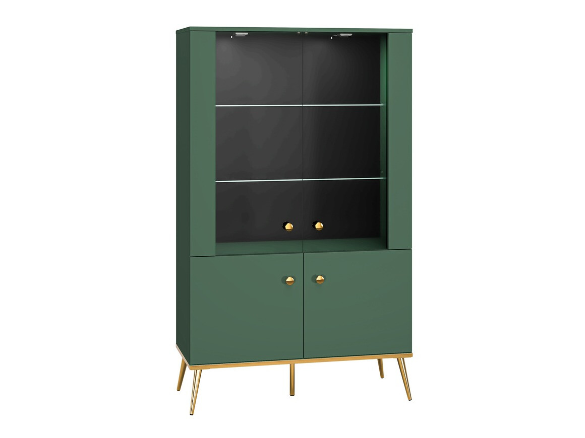 Bookcase Flonovu 101 (Dark green + Golden)
