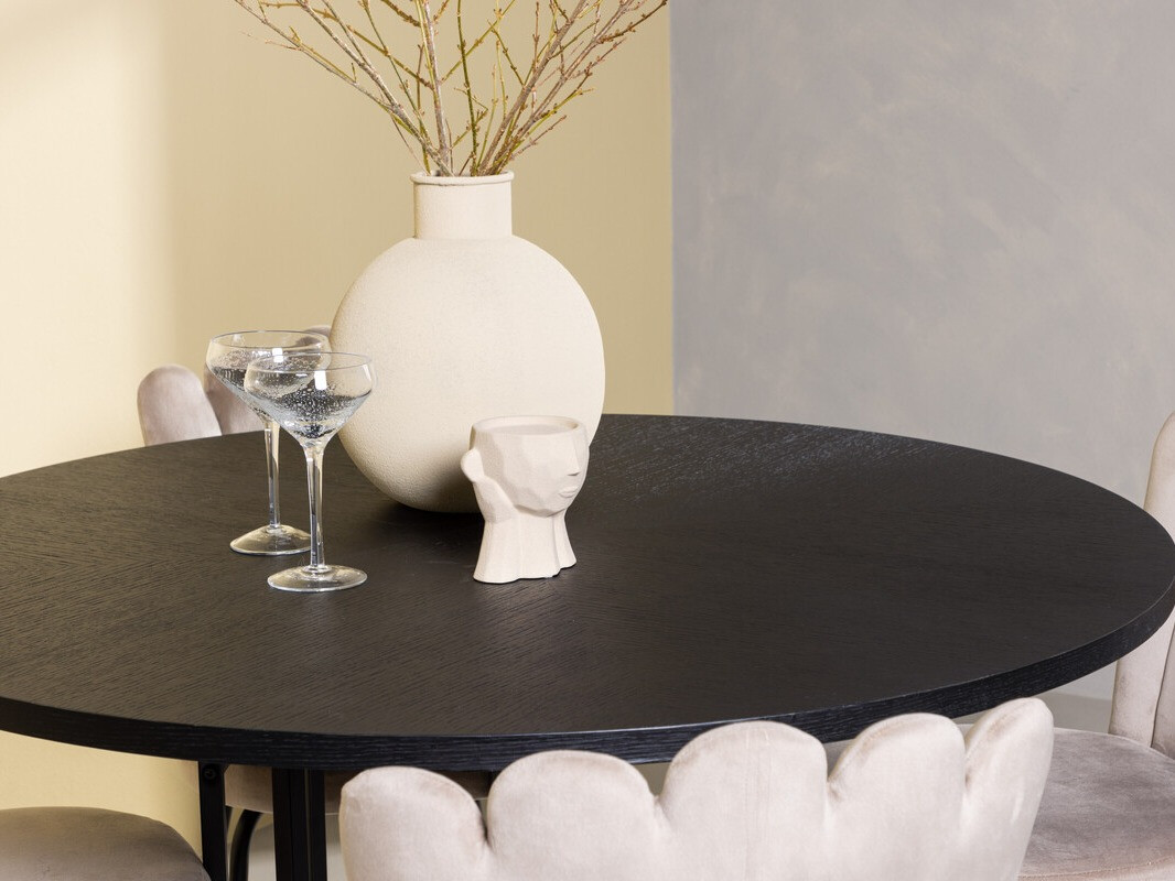 Dining set Dallas 3973