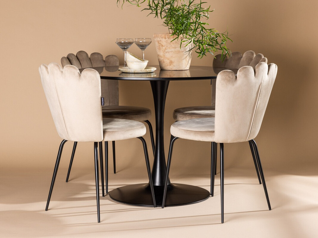 Dining set Dallas 4162