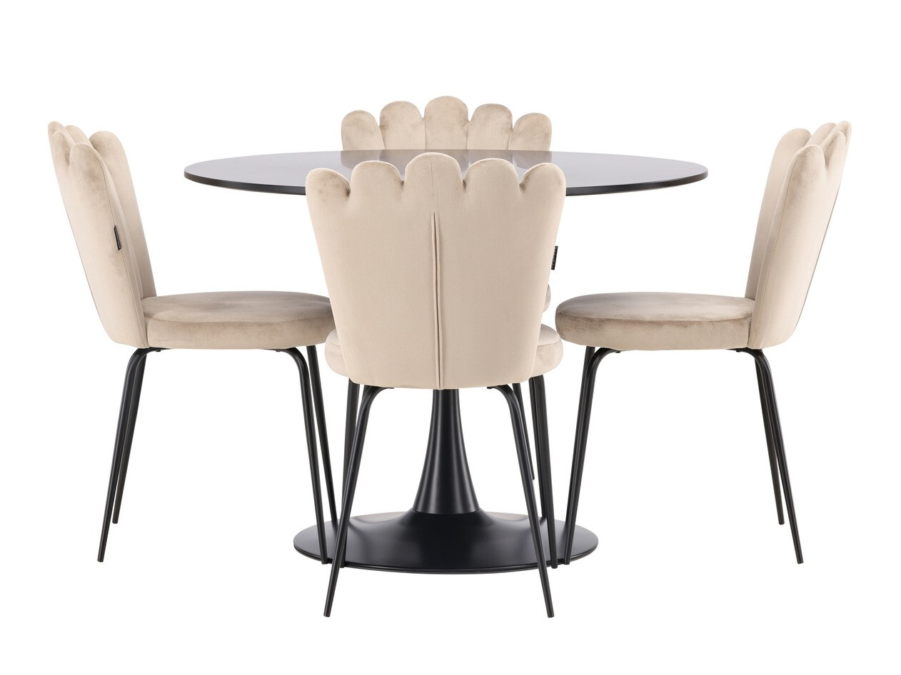 Dining set Dallas 4162
