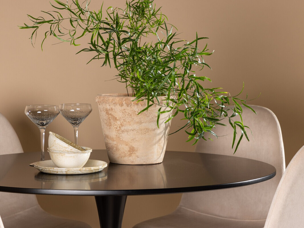 Dining set Dallas 4163 (Beige + Black)