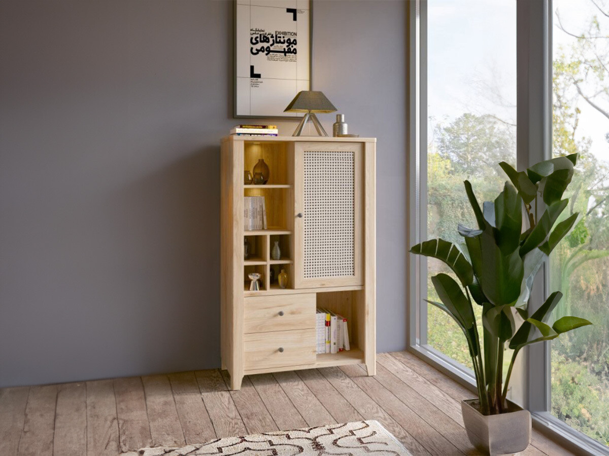 Bookcase Enonolu 102