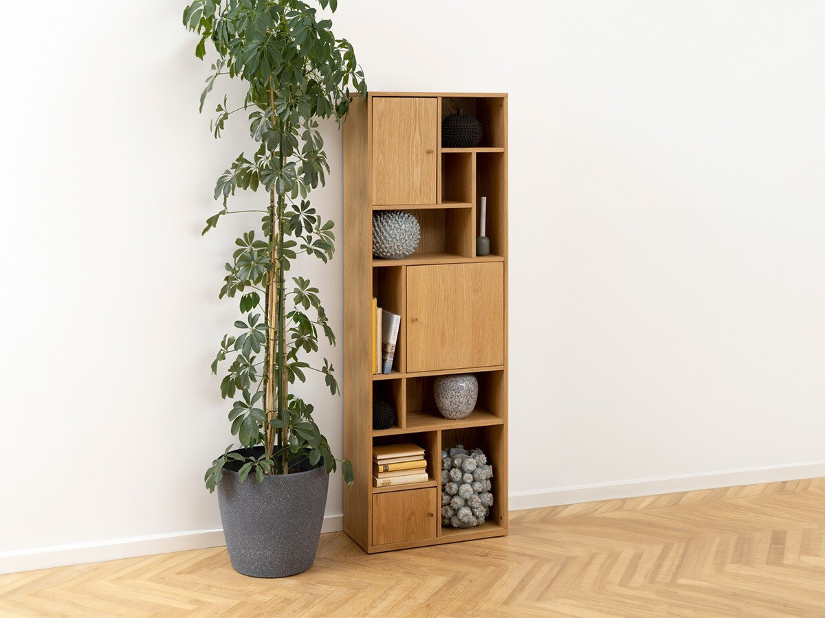 Bookcase Norsica 809