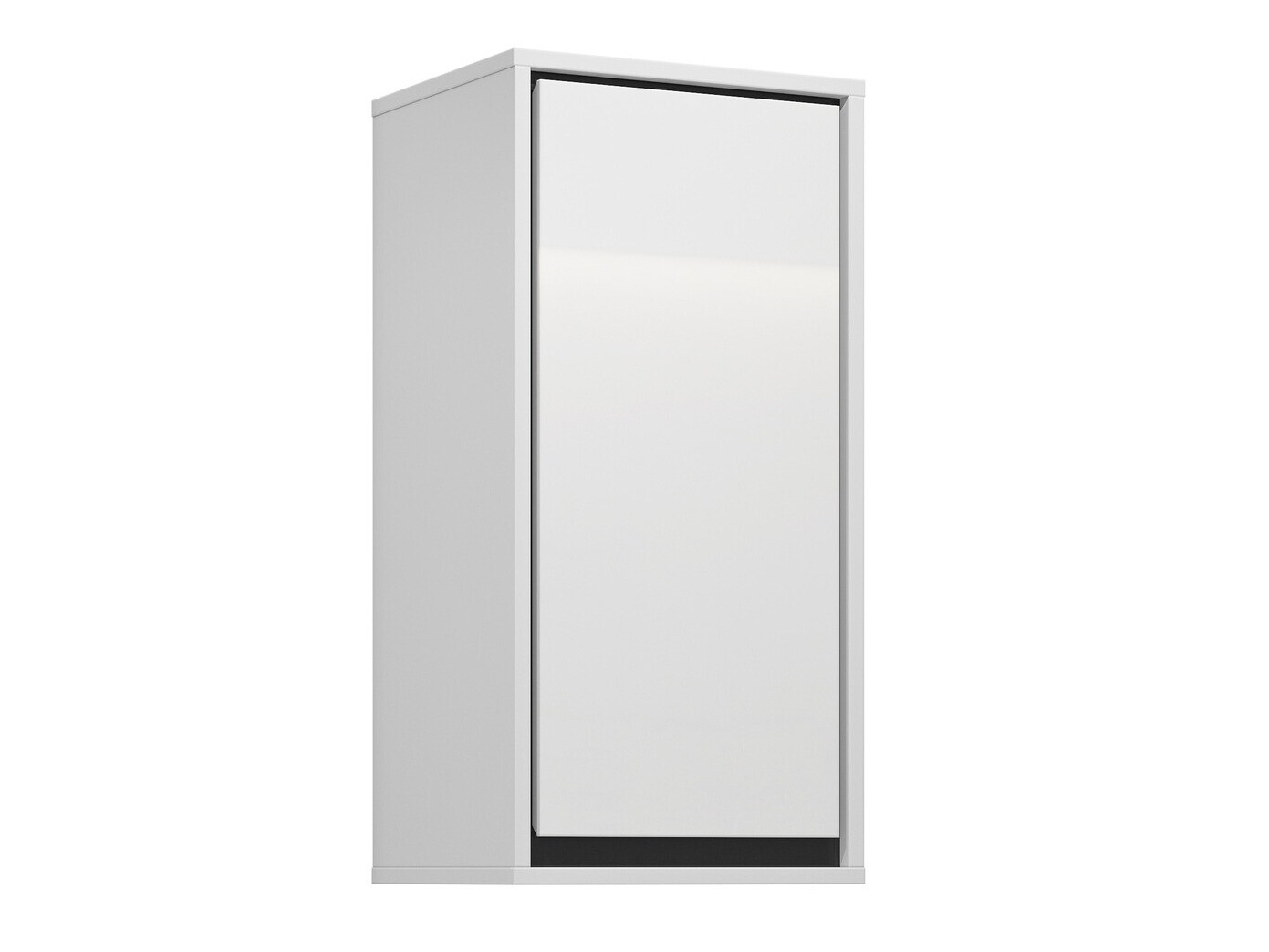 Wall-mounted bathroom cabinet Tecavu 100 (Glossy white + White)