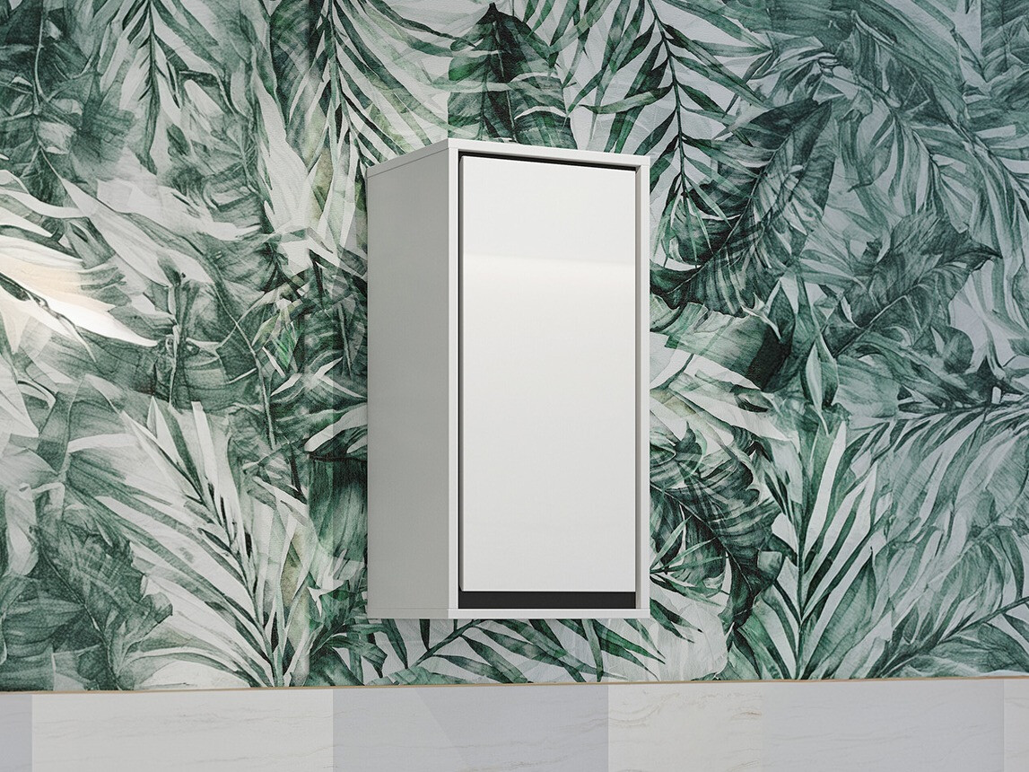 Wall-mounted bathroom cabinet Tecavu 100 (Glossy white + White)