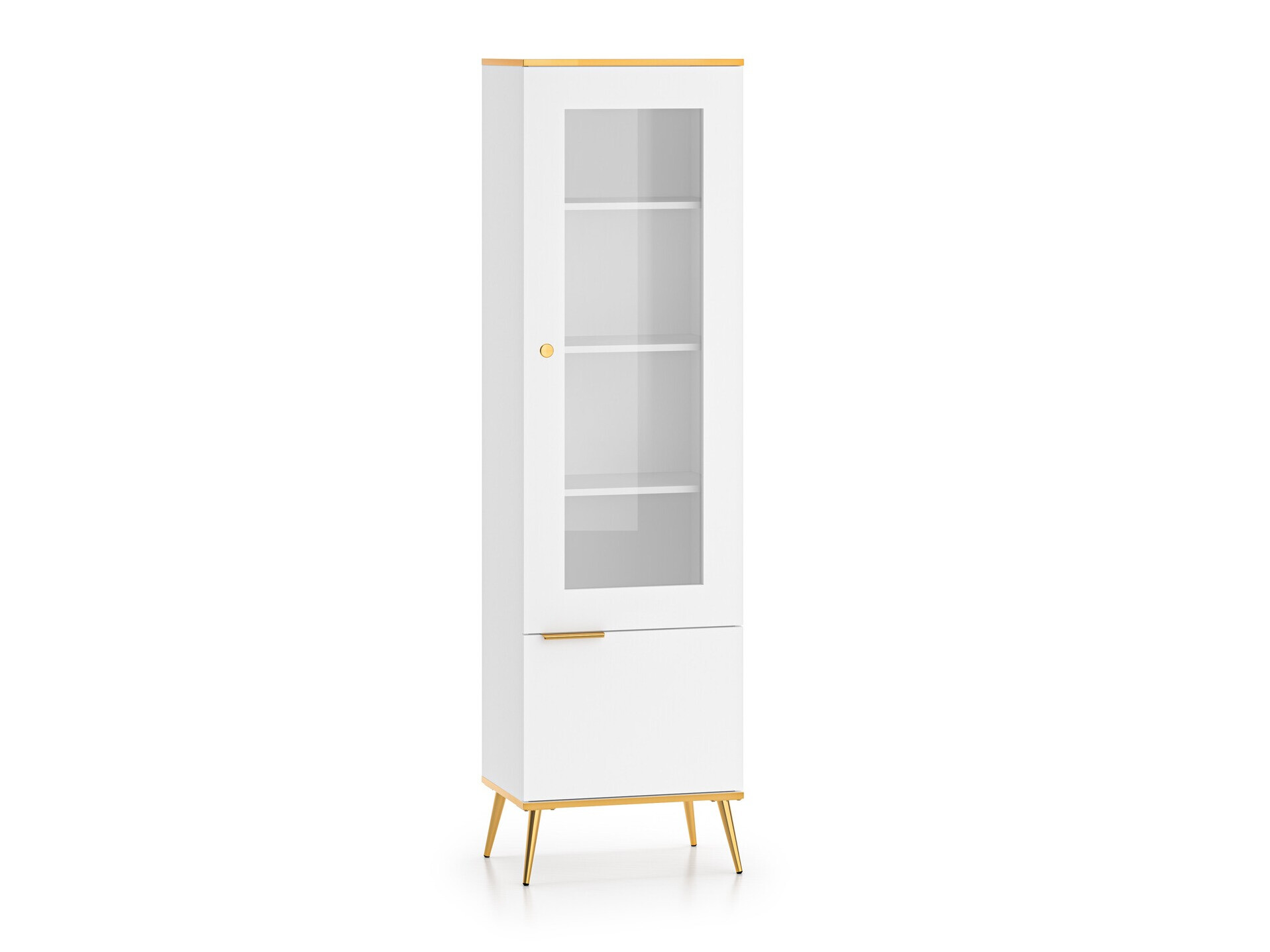 Bookcase Odenovu 101