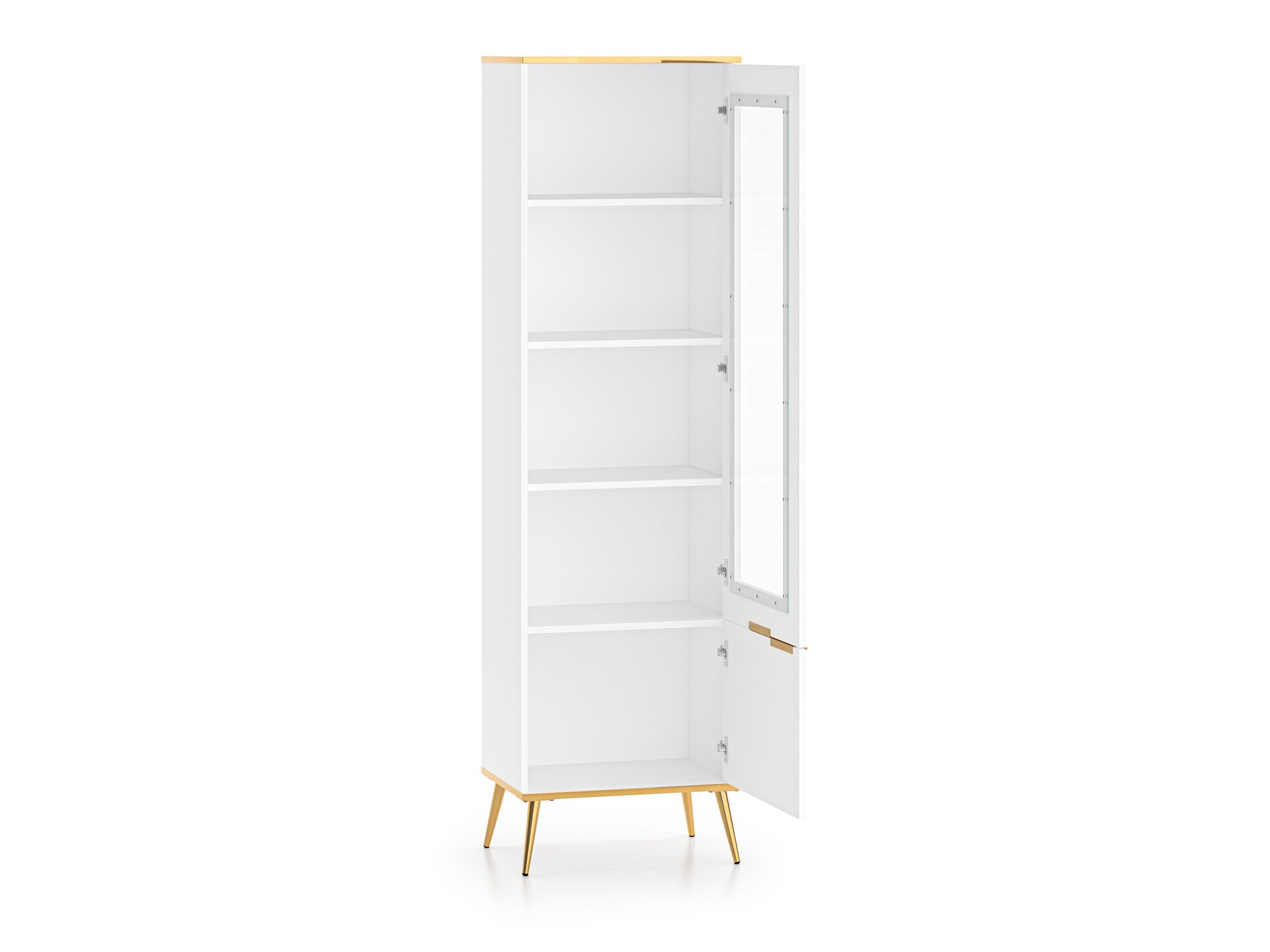 Bookcase Odenovu 101