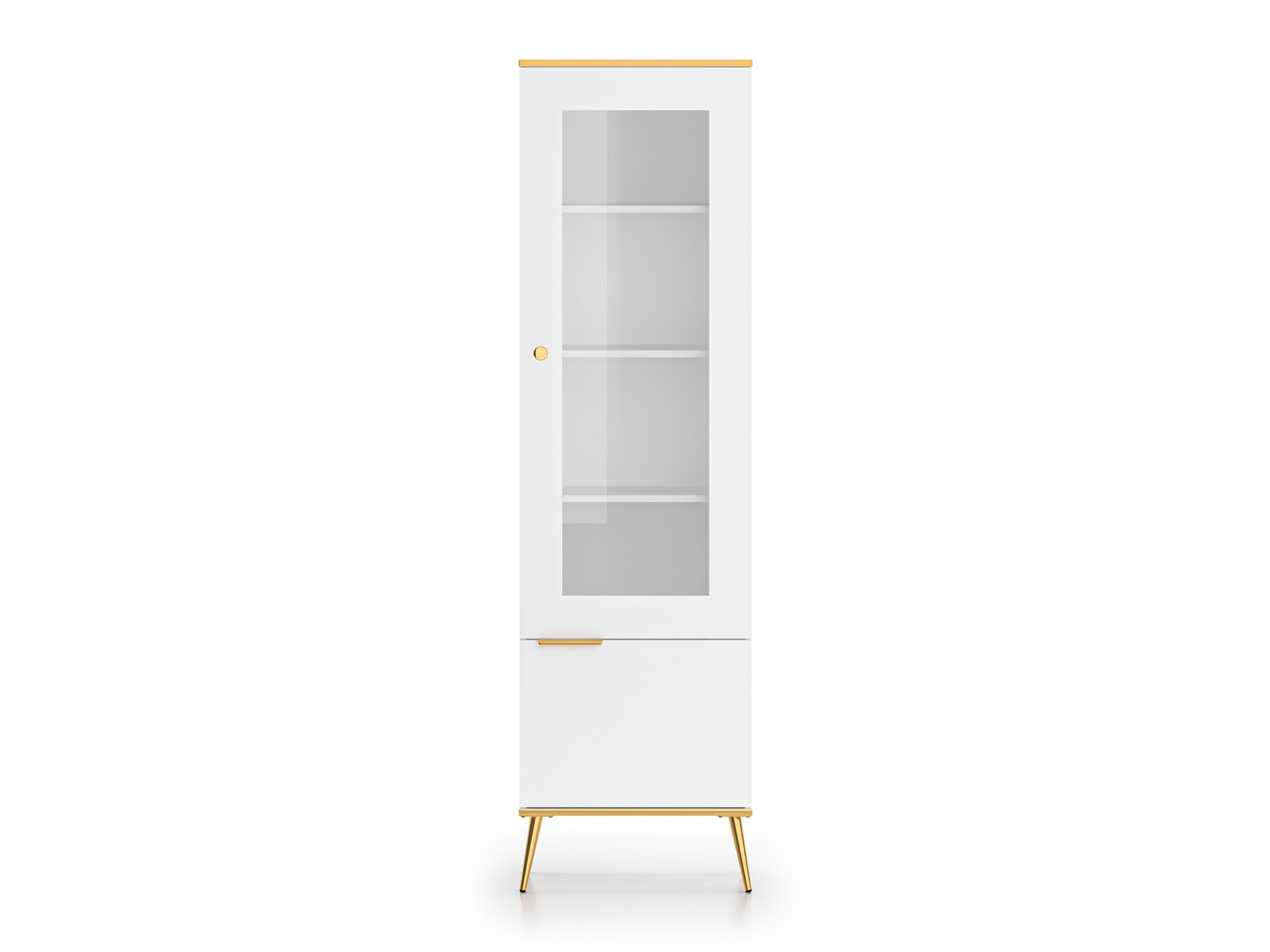 Bookcase Odenovu 101