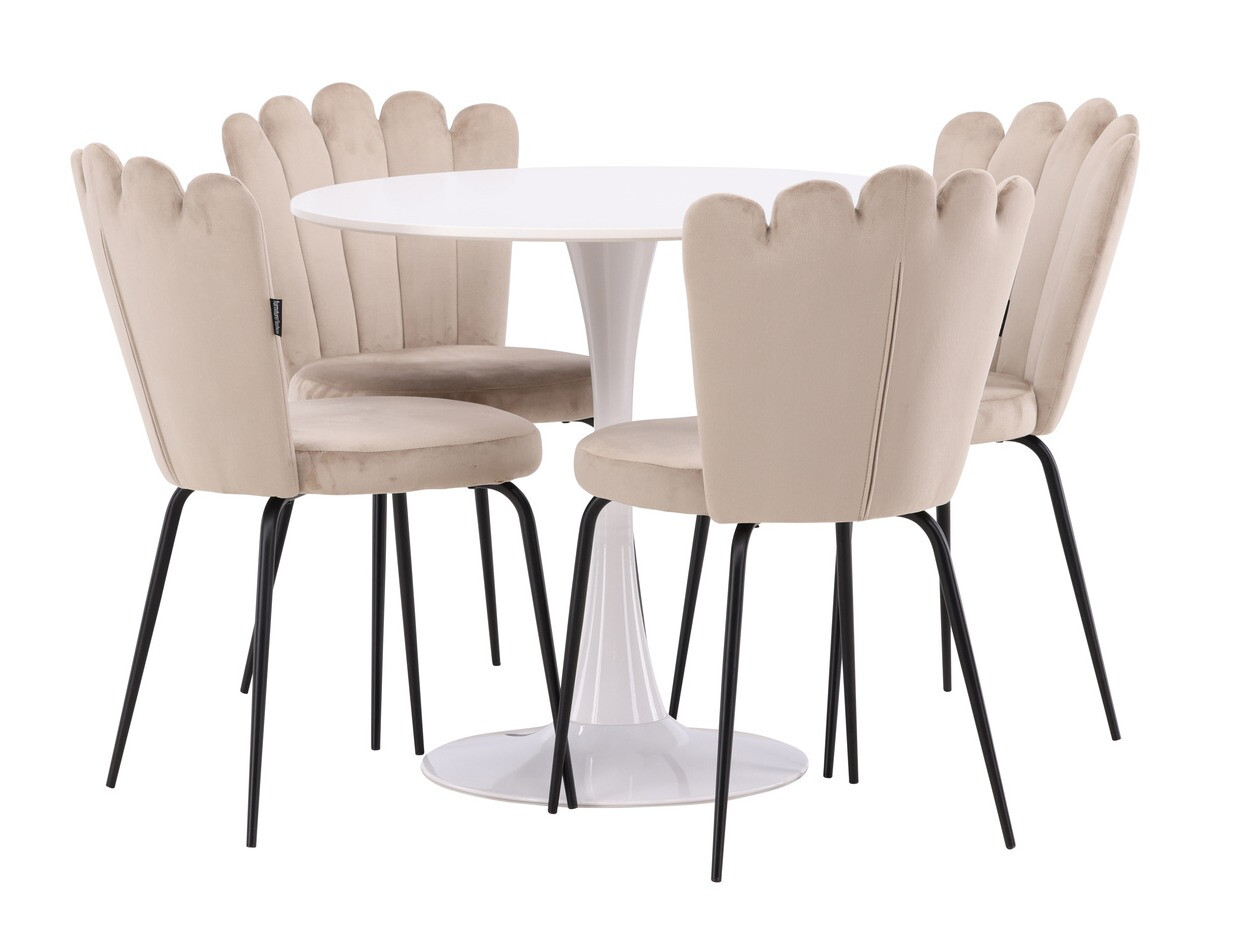 Dining set Dallas 4591