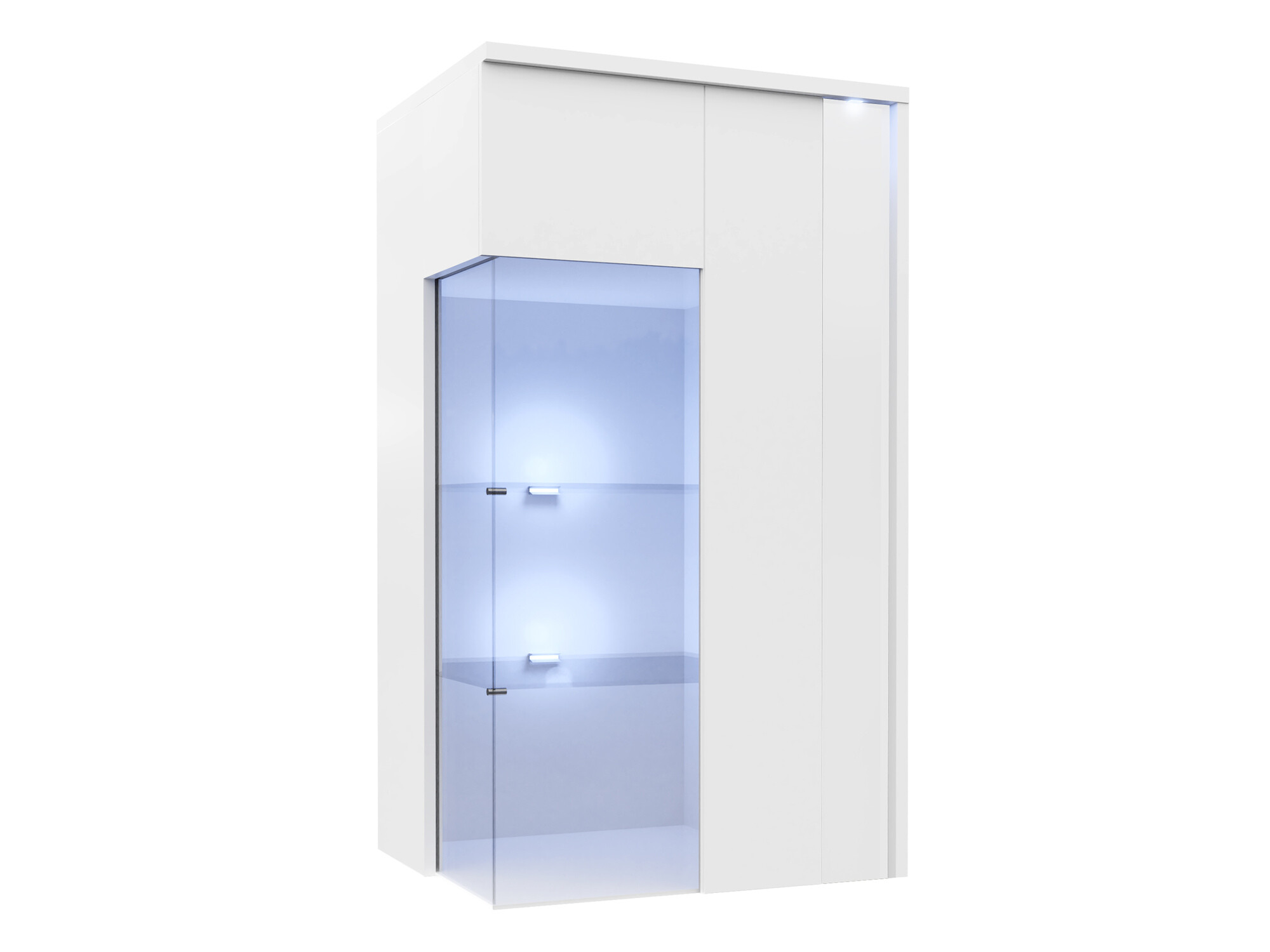 Wall cabinet Florem I (White + Glossy white)