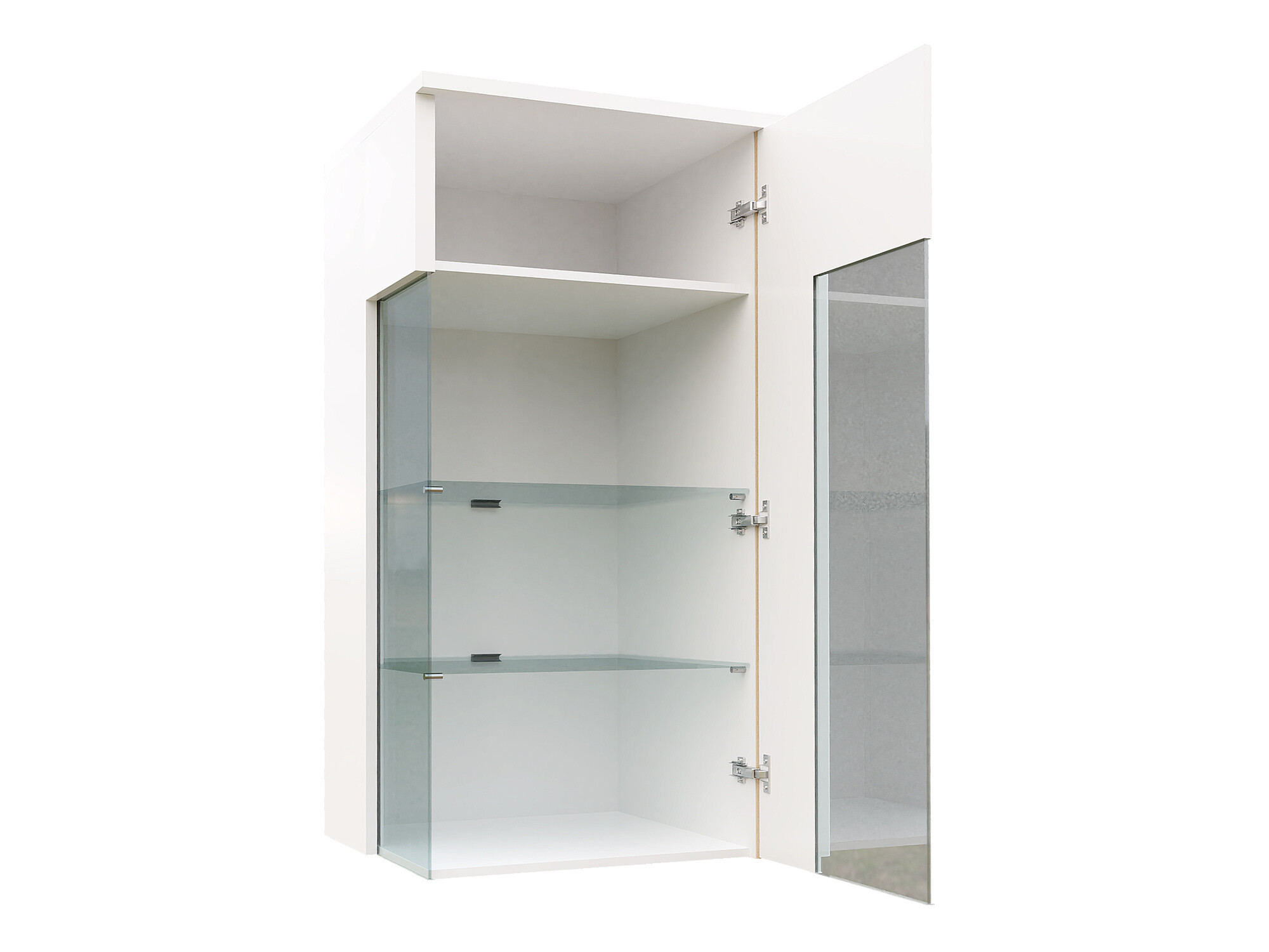 Wall cabinet Florem I (White + Glossy white)
