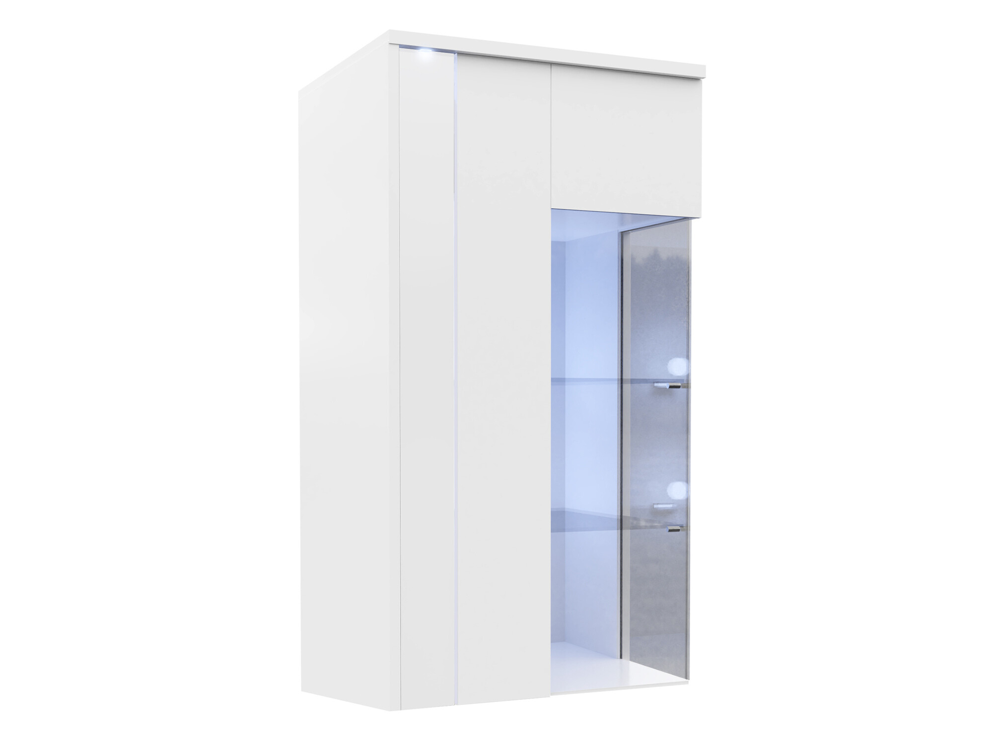 Wall cabinet Florem (White + Glossy white)