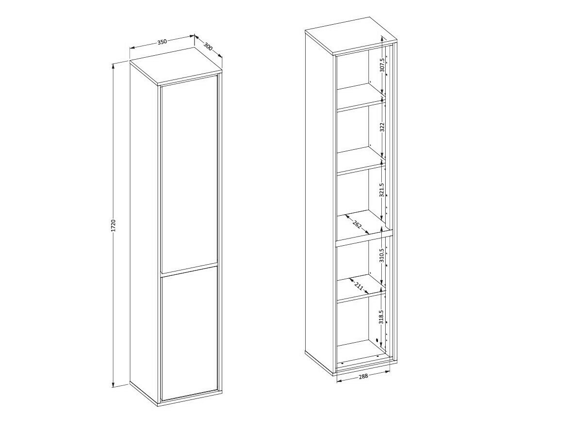 Wall-mounted bathroom cabinet Tecavu 101 (Congo)