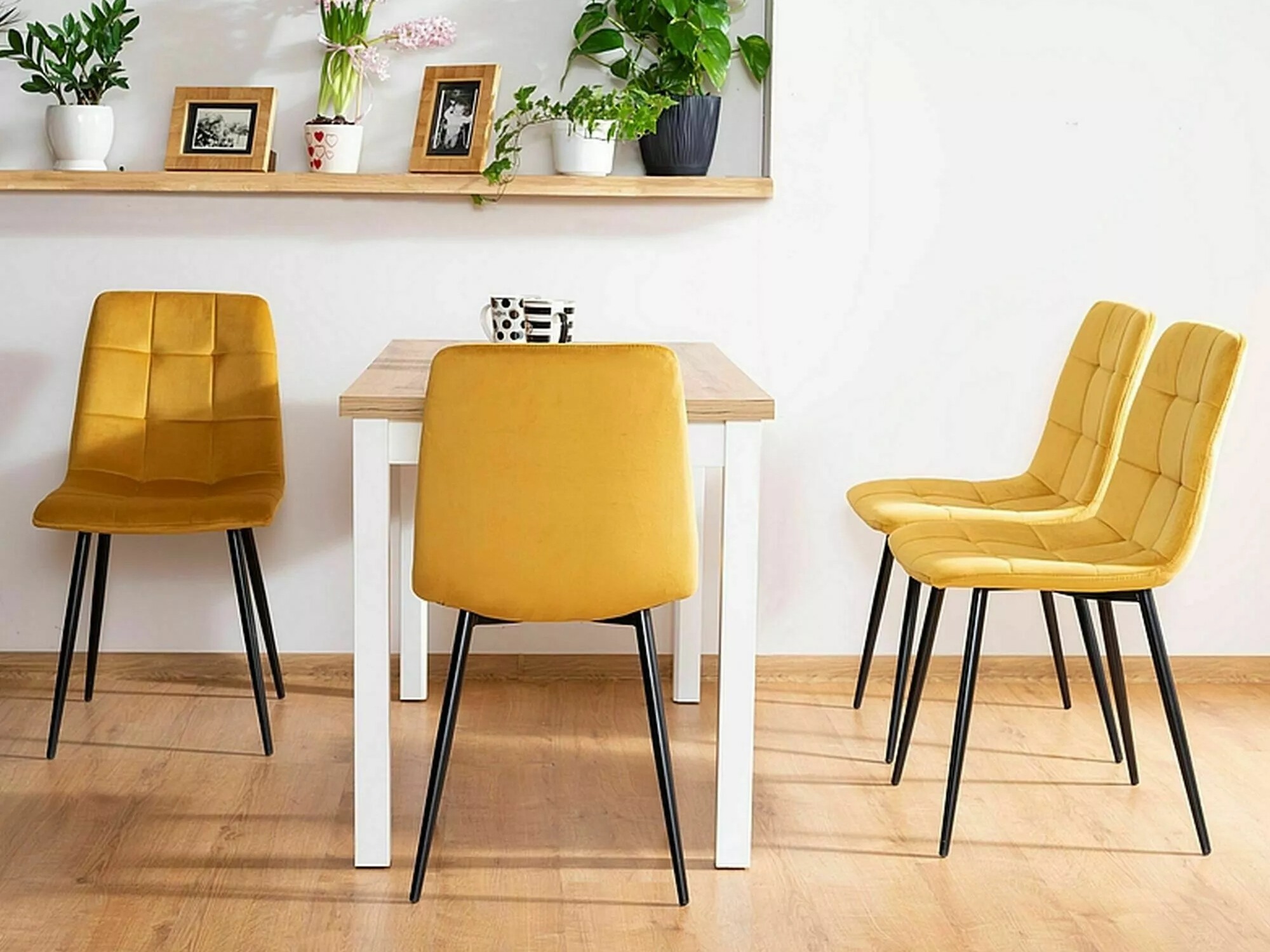 Chair Detroit 755 (Bluvel 68)