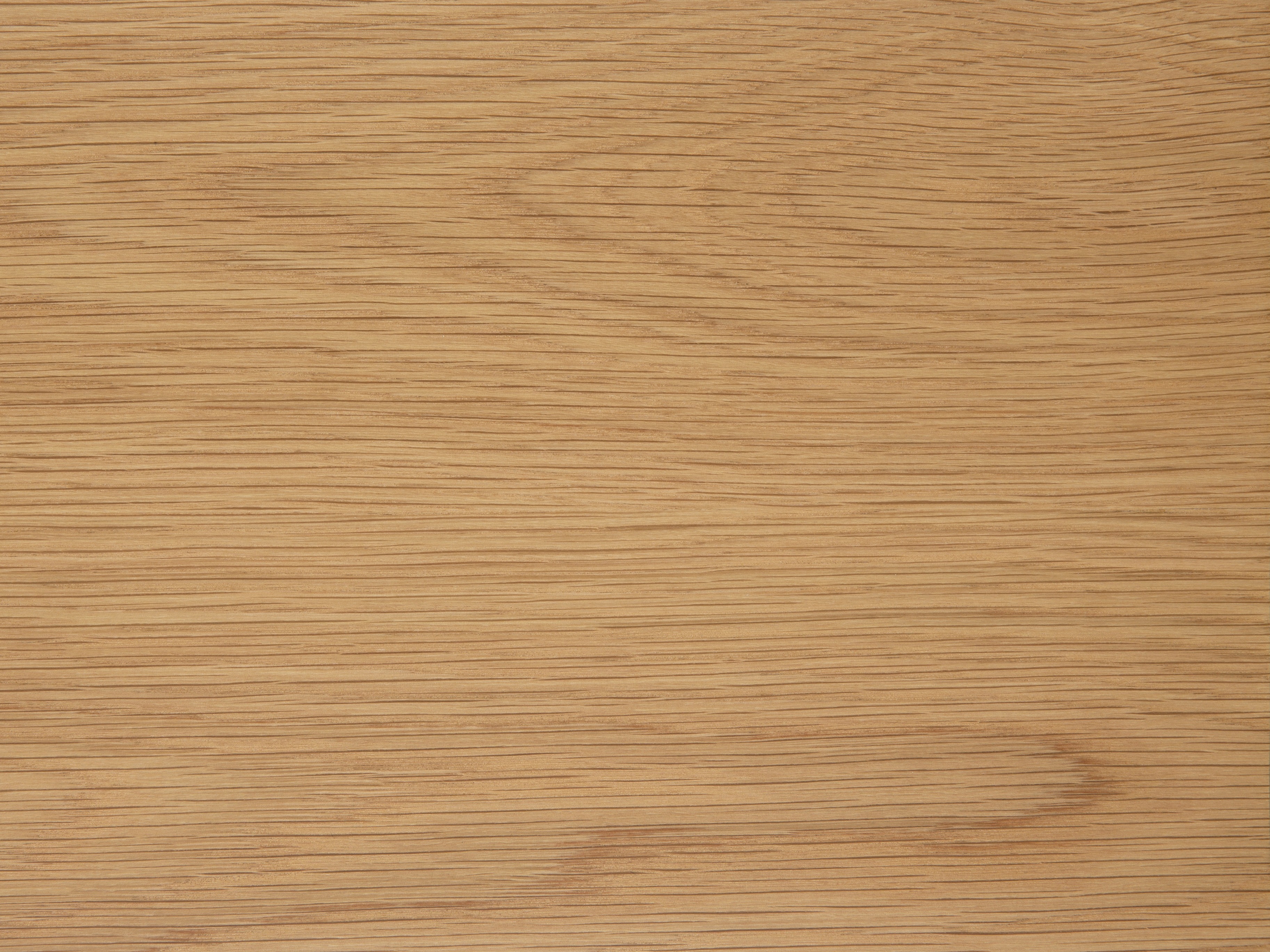 Table Norsica 481 (Light wood)