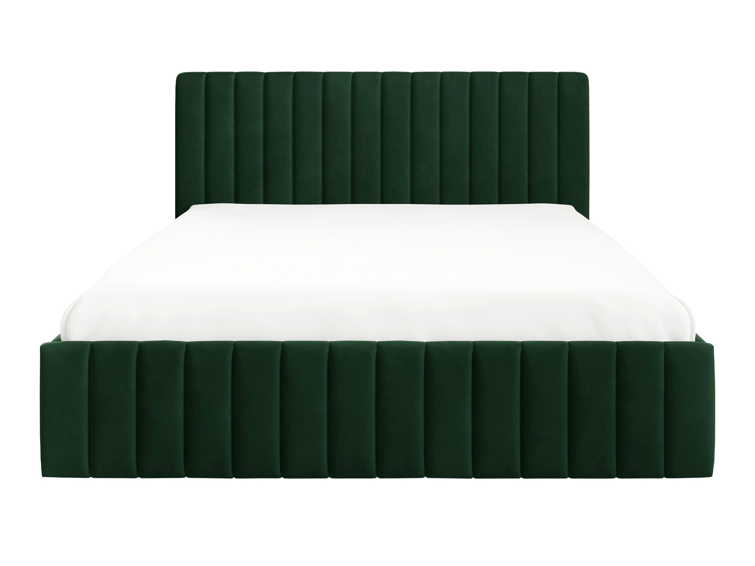 Bed Iris (Fresh 13)