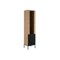 Bookcase Lunole 112 (Artisan oak + Black)