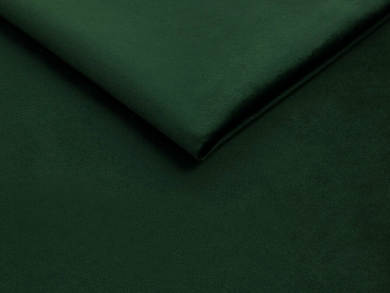 Bed Iris I (Fresh 13)