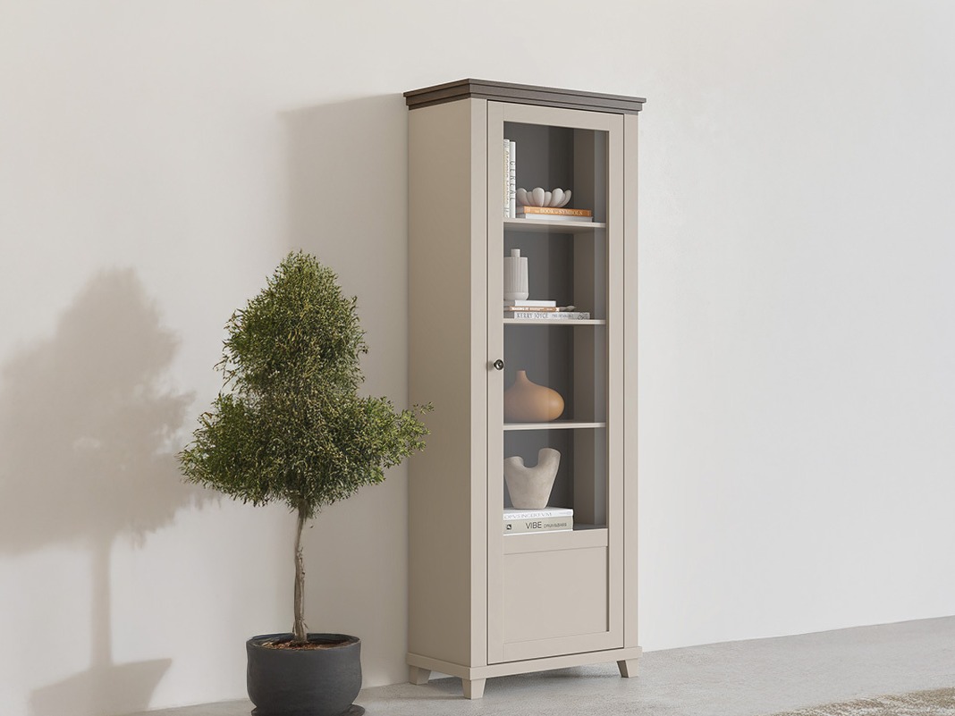 Bookcase Tolnue 101 (Light beige + Oak)