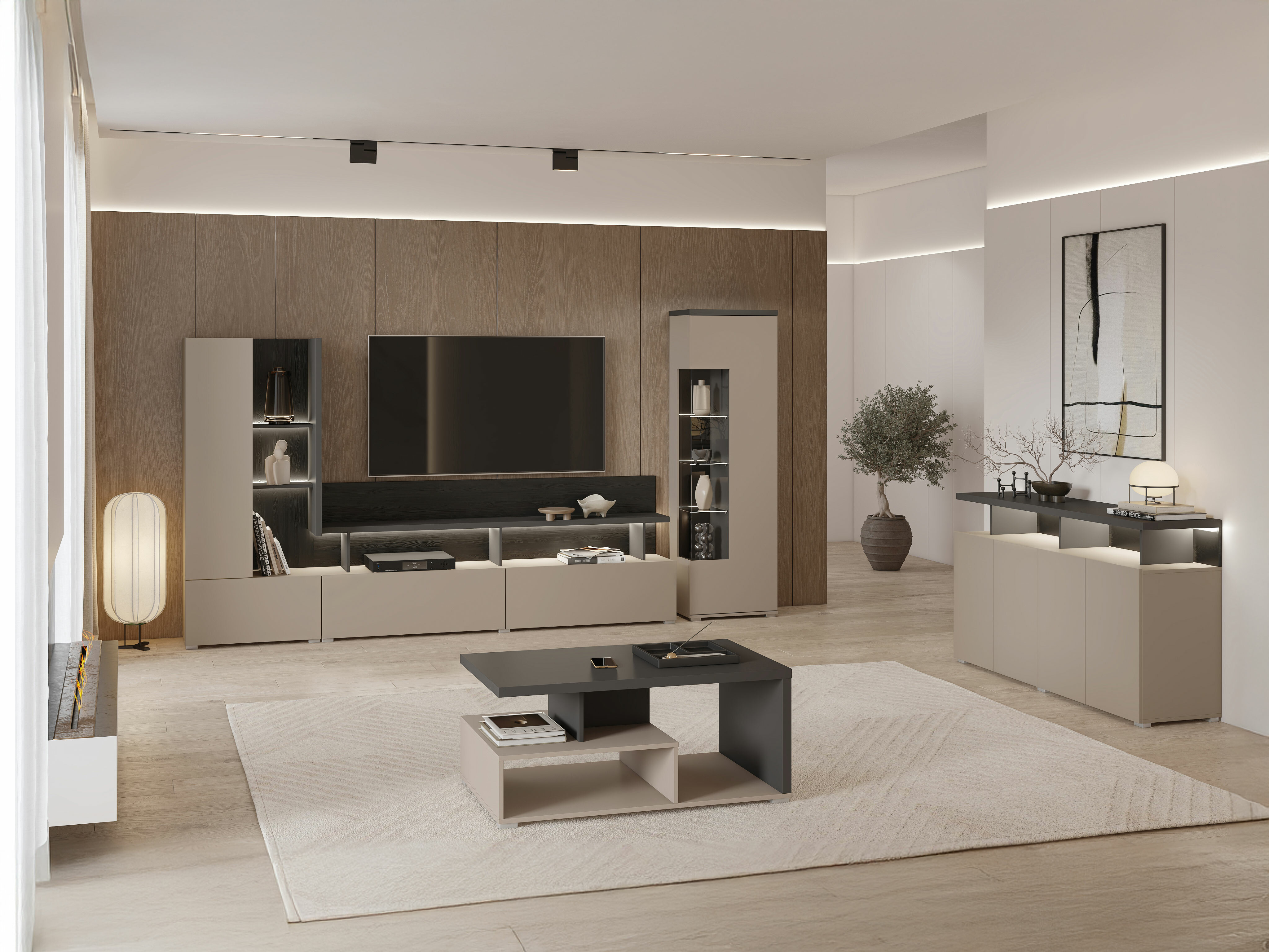 Bookcase Virvele 102 (Congo + Anthracite)