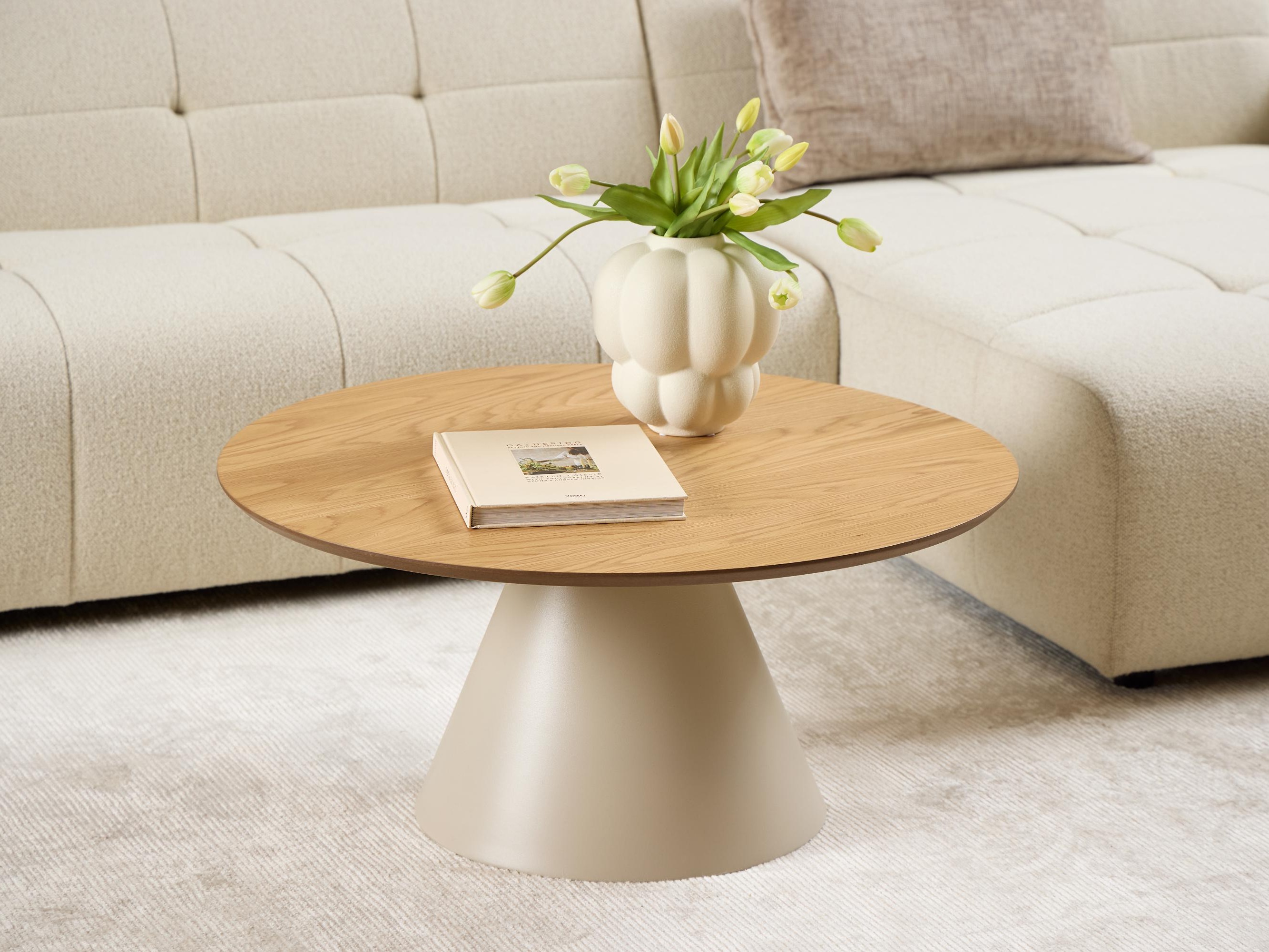 Coffee table Norsica 908 (Grey + Oak)