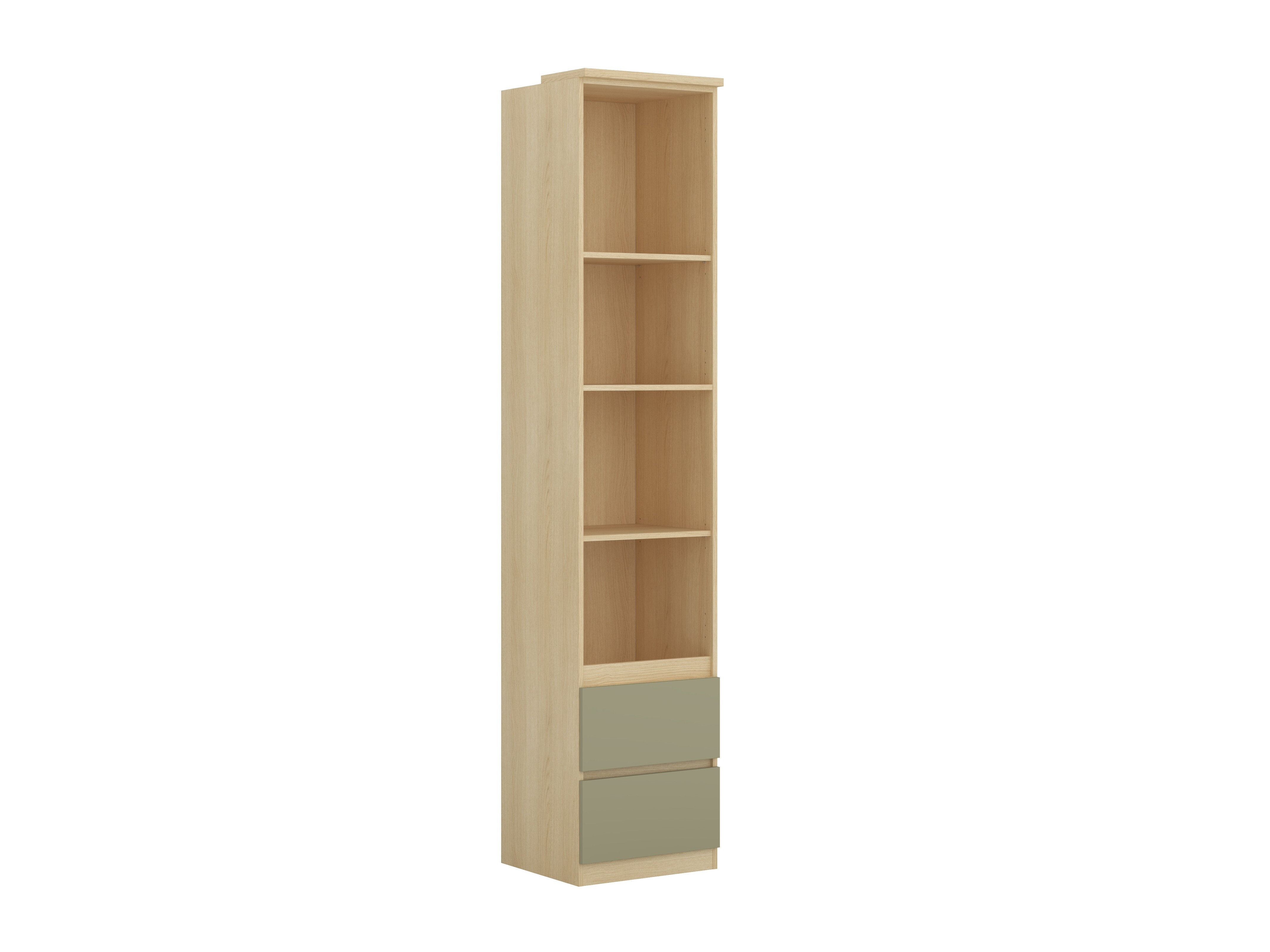 Bookcase Nolcala 111 (Oak + Eucalyptus)
