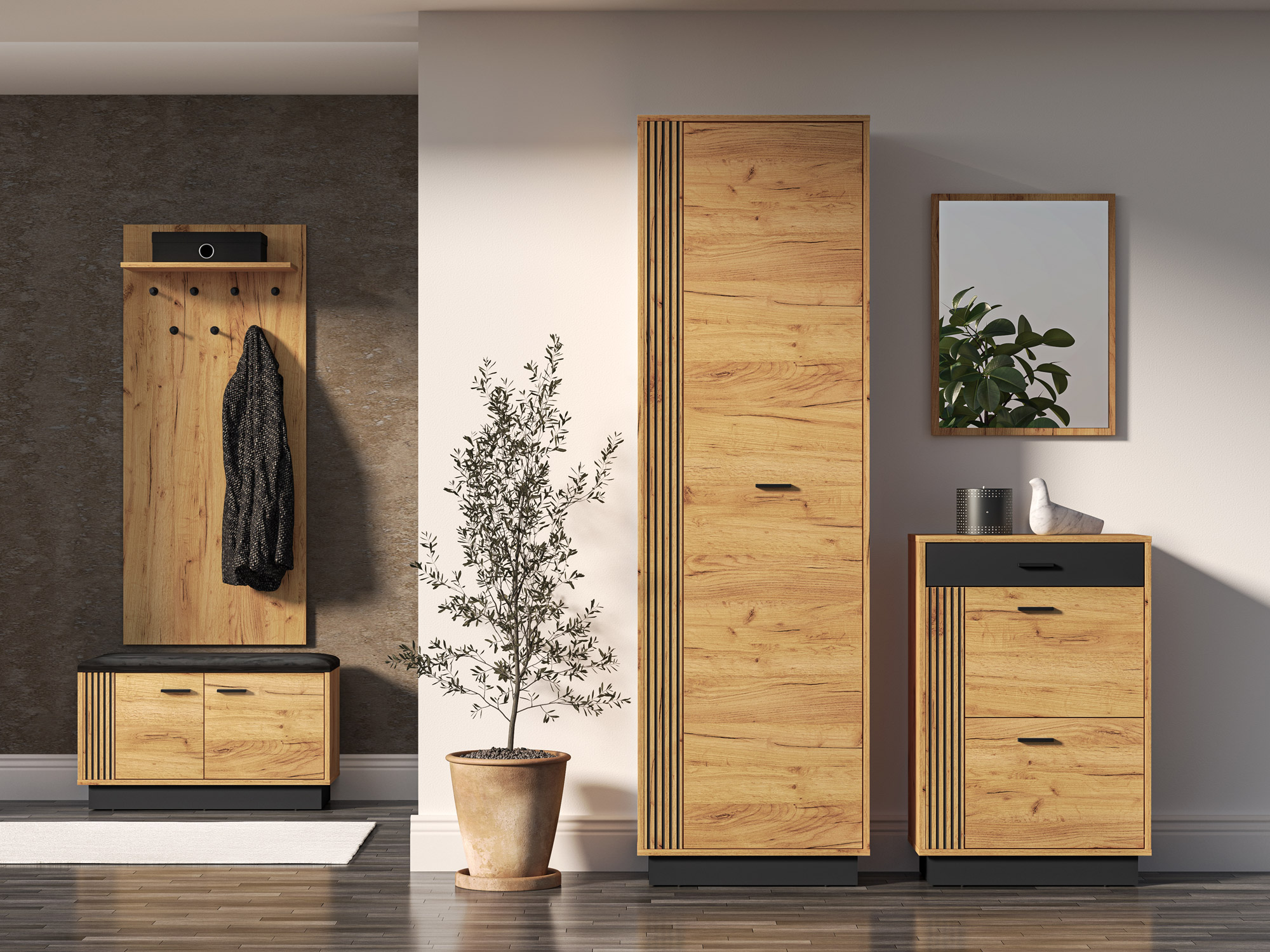 Shoe cabinet Revcire 101