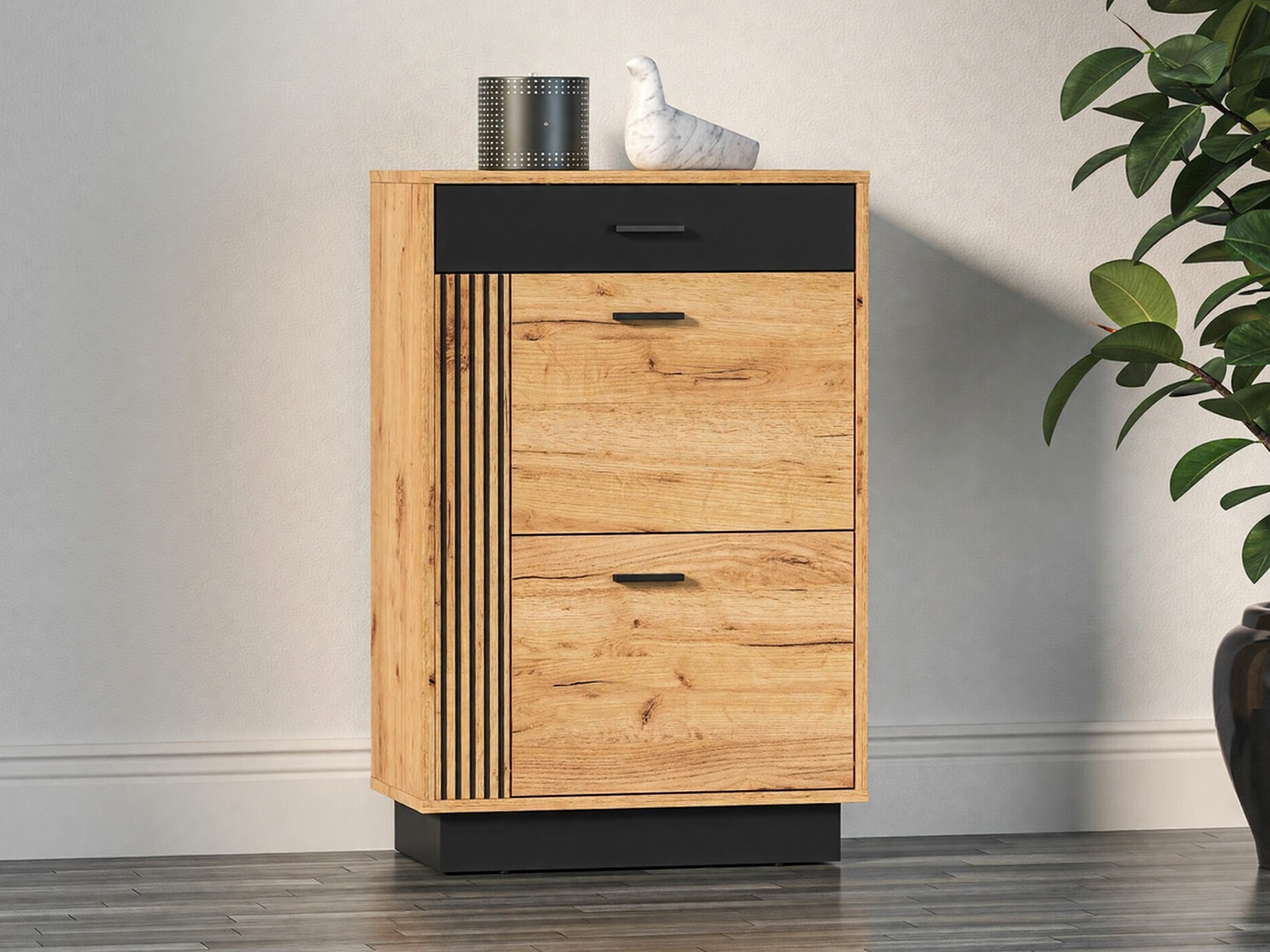 Shoe cabinet Revcire 103