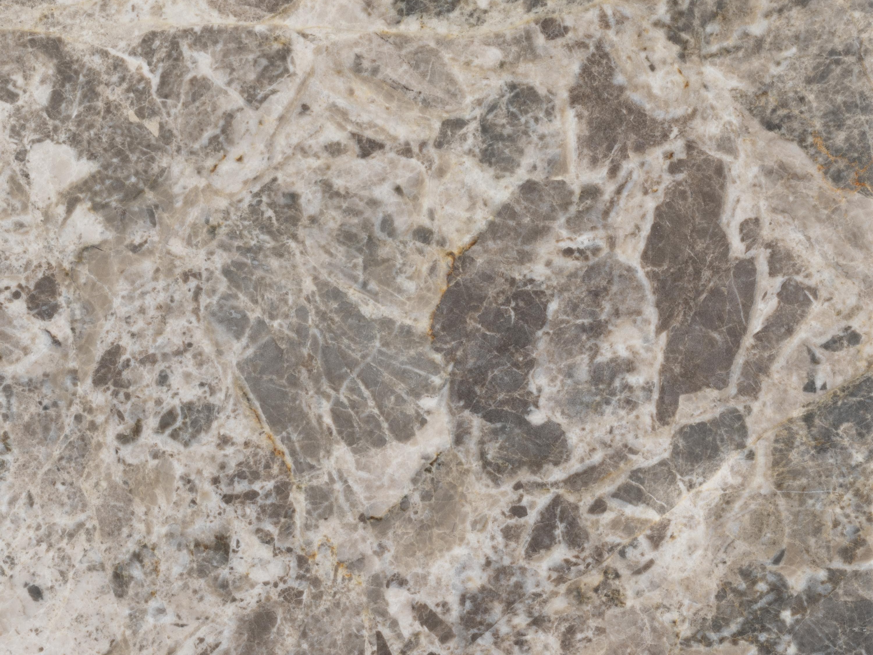 Coffee table Norsica 819 (Grey + Black)