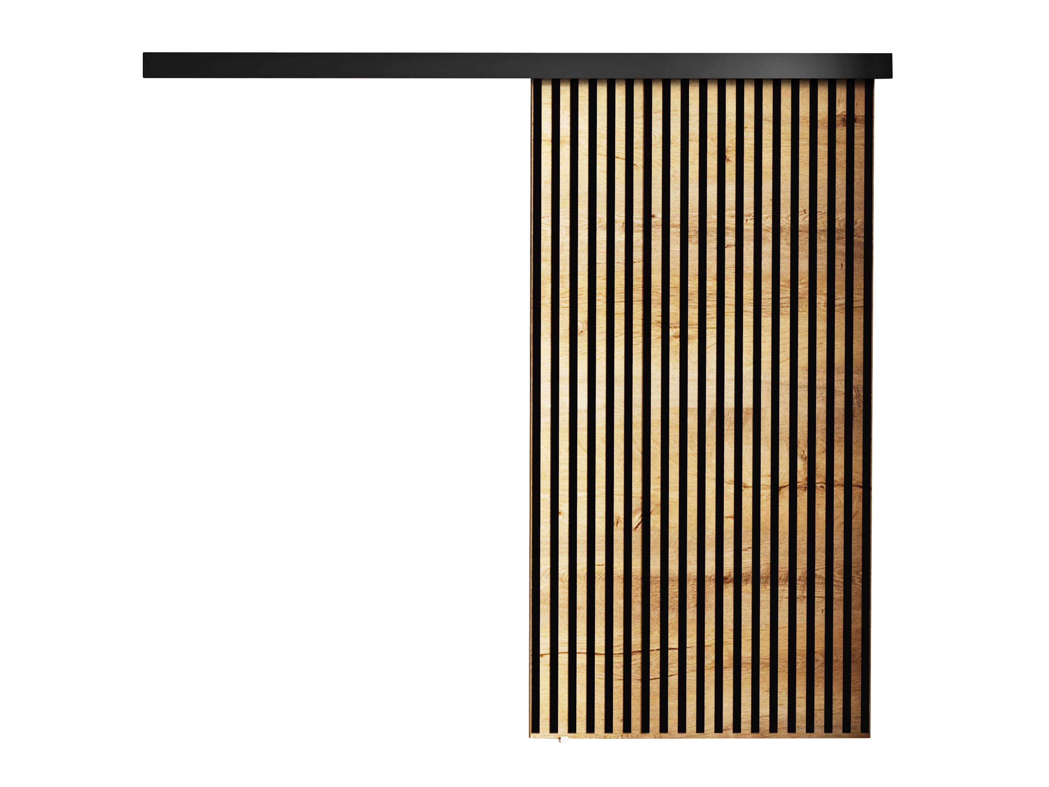 Sliding door Dover 204 (Craft golden oak + Black)