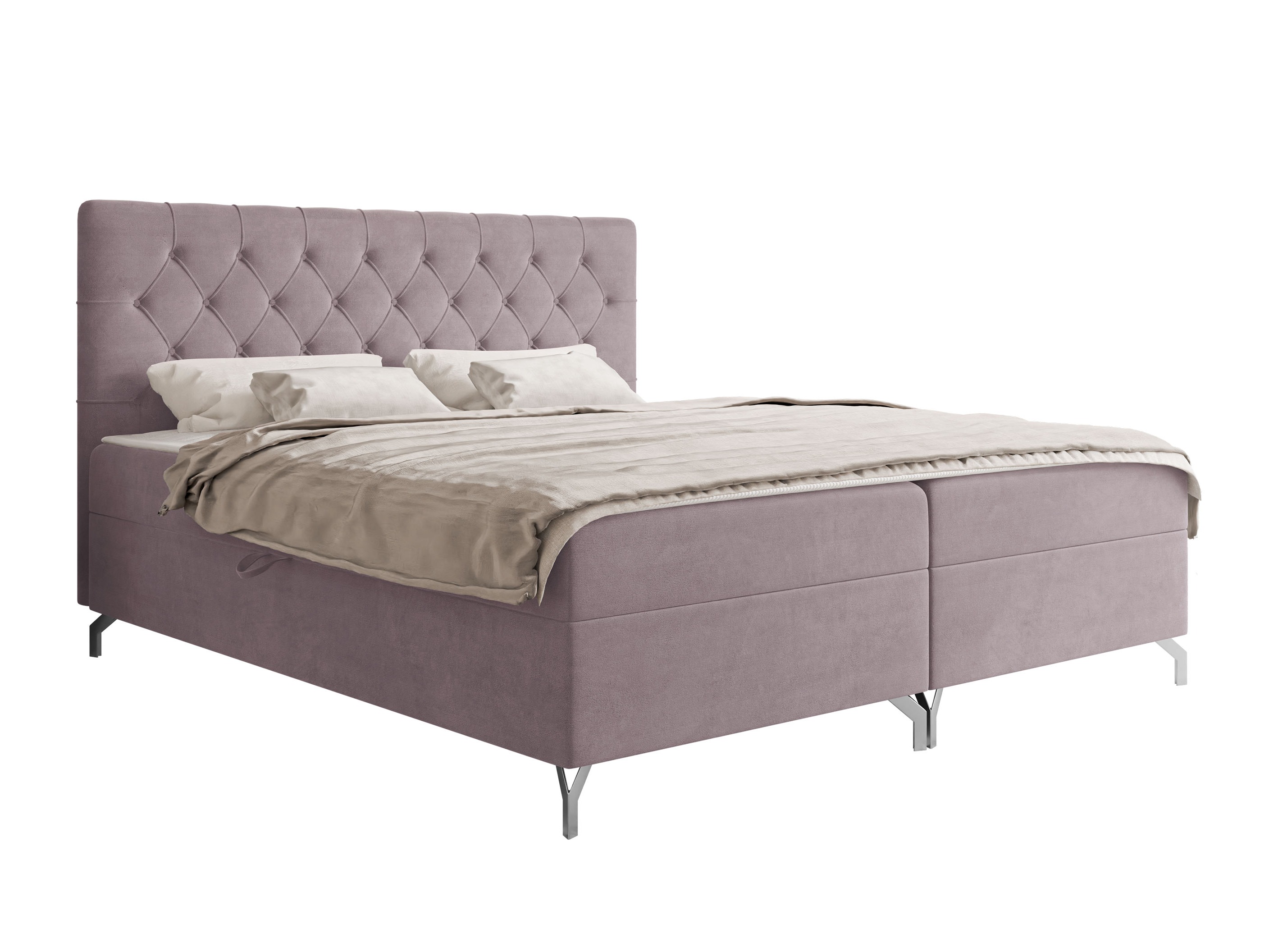 Continental bed Focus (Fresh 09)