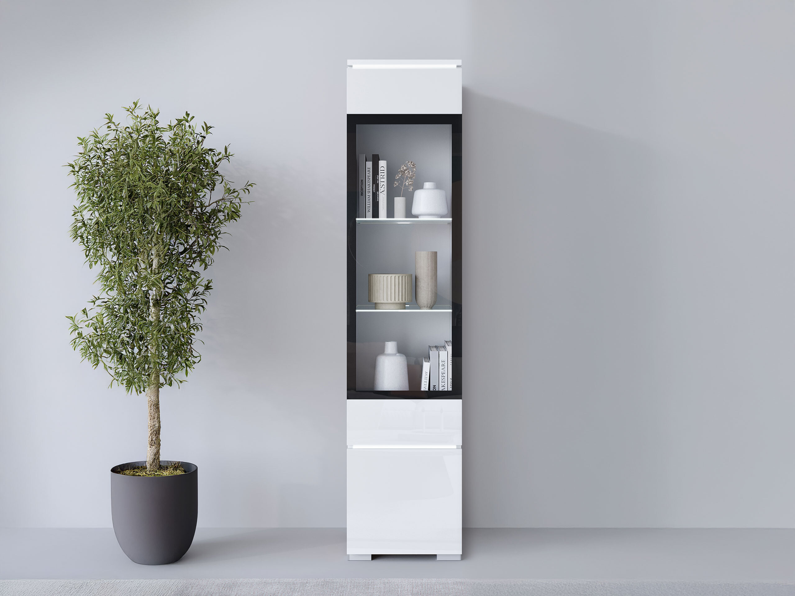 Bookcase Mirfivo 109 (White + Glossy white)