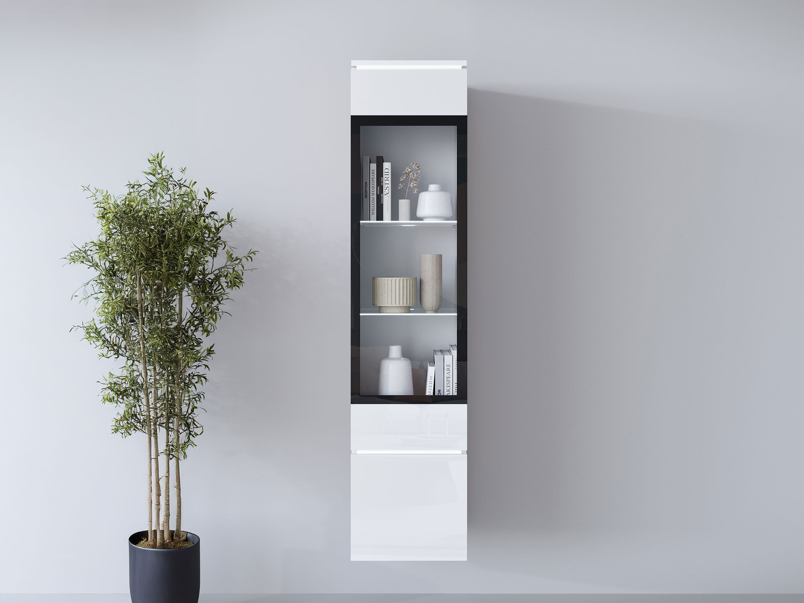 Bookcase Mirfivo 109 (White + Glossy white)