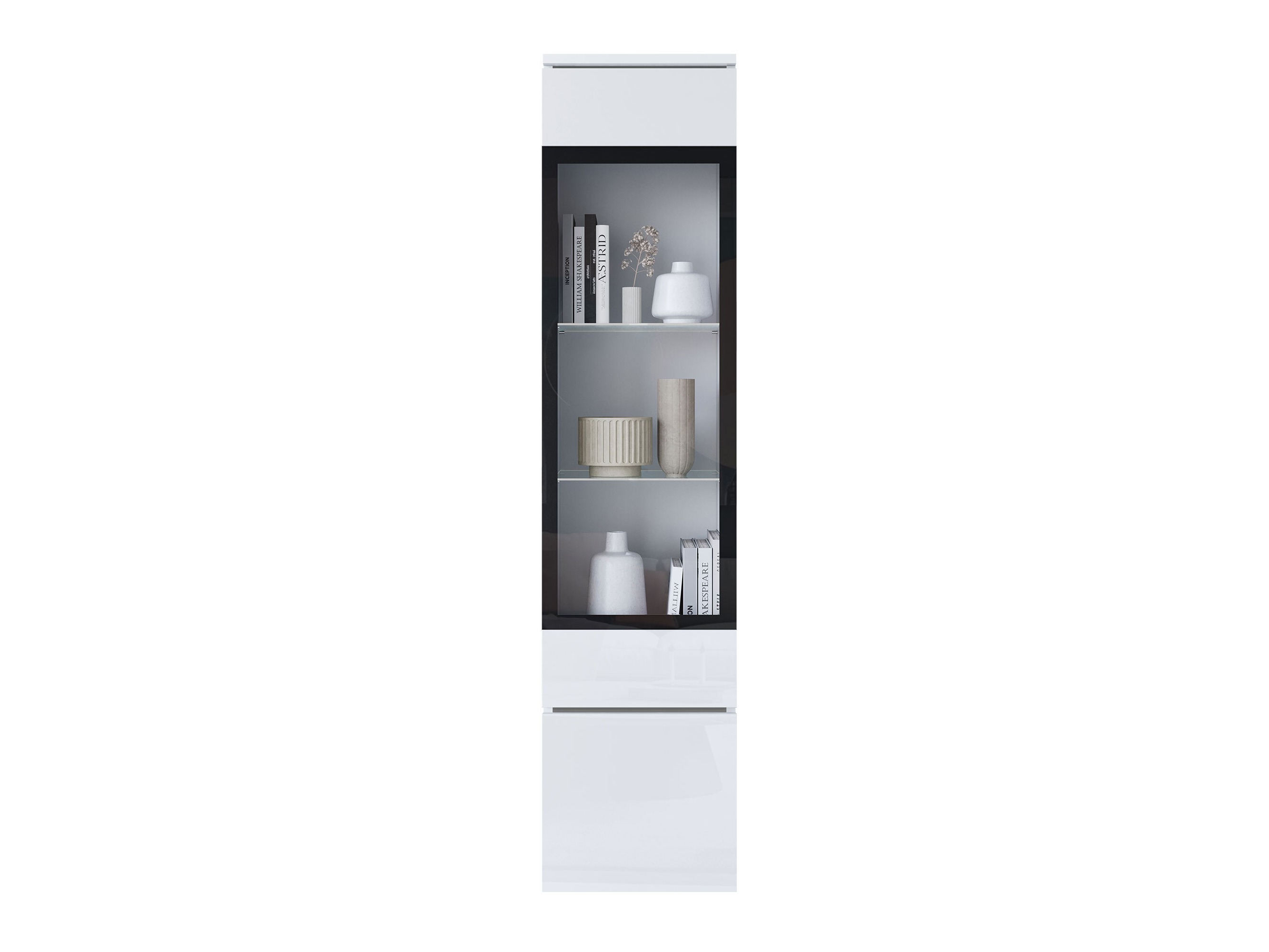 Bookcase Mirfivo 109 (White + Glossy white)